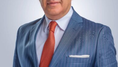 ماونتن ڤيو