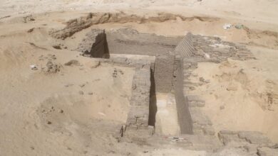السياحة