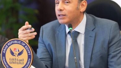 المالية