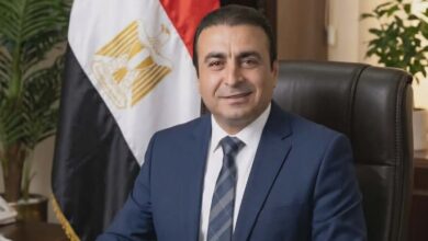وائل أبو العينين