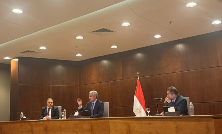 الهيئة المصرية