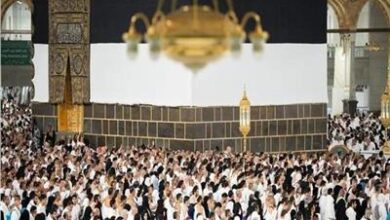 وزارة السياحة