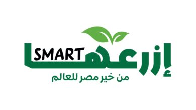 نستله مصر