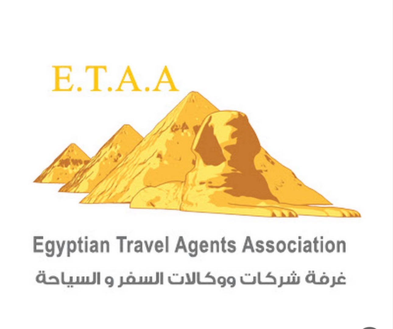 غرفة شركات السياحة
