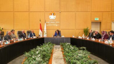 وزيرة الإسكان