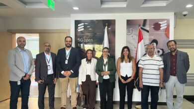 إريكسون مصر
