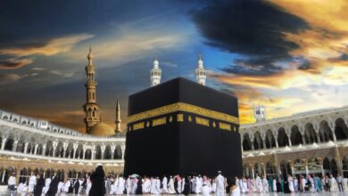 وزير السياحة