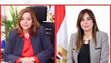 الاسكان