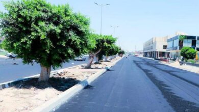 وزيرة الإسكان