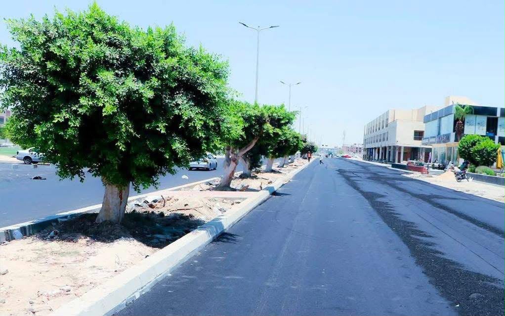 وزيرة الإسكان