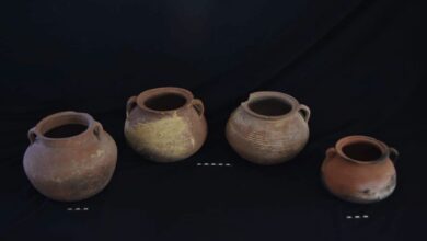 السياحة