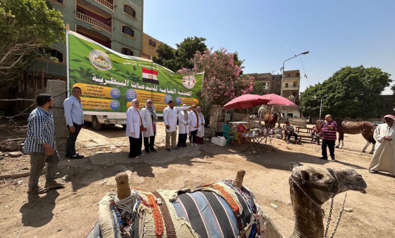 ركوب الخيل