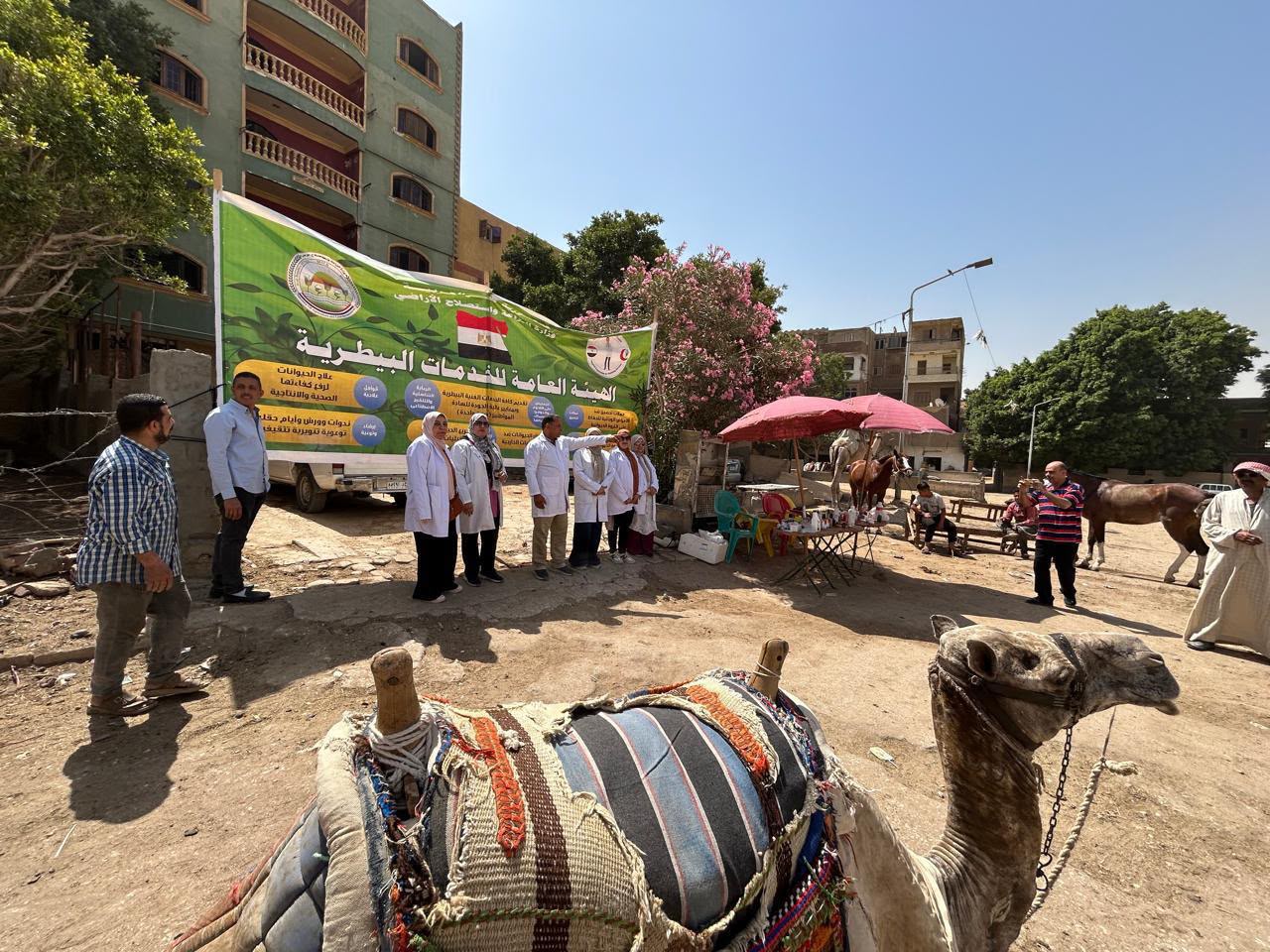 ركوب الخيل