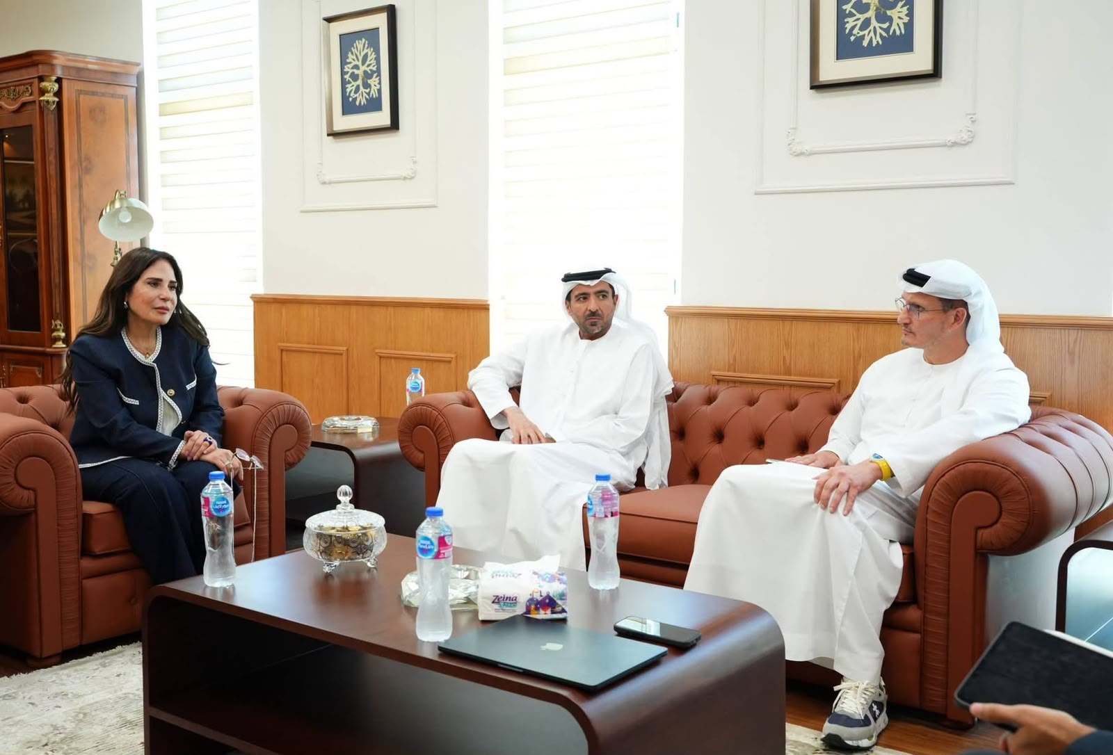 الإسكان