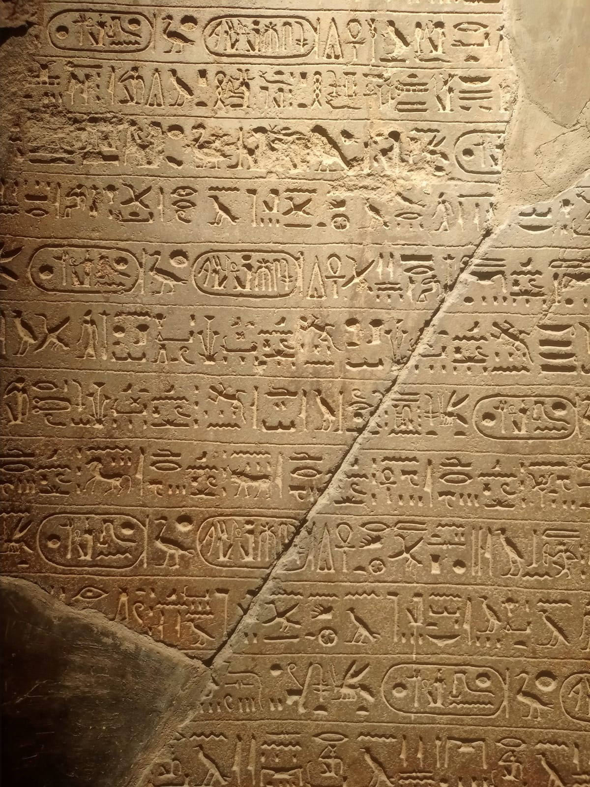 المتحف المصري