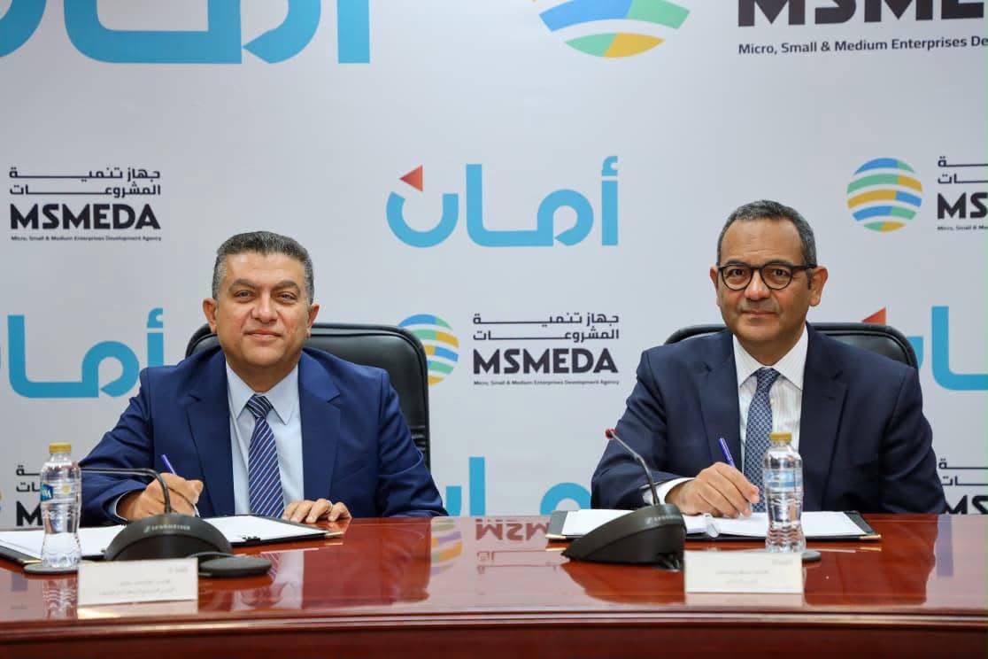 تنمية المشروعات