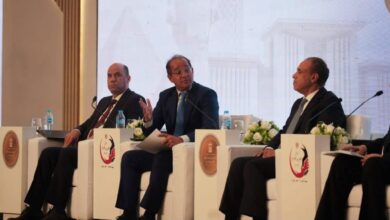 وزير المالية