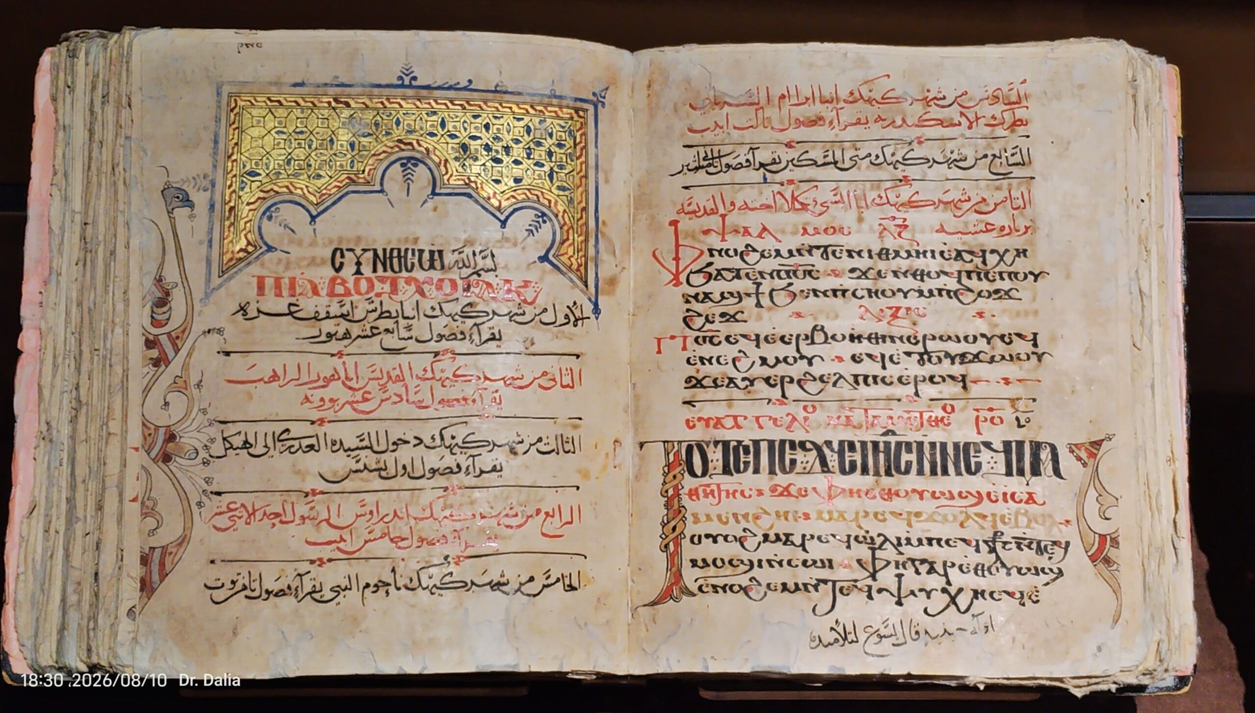 السياحة