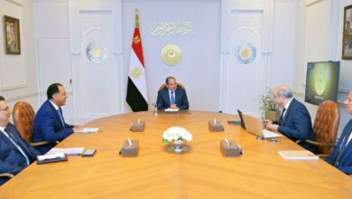 السيسي