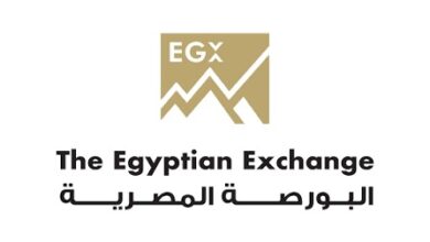 البورصة المصرية