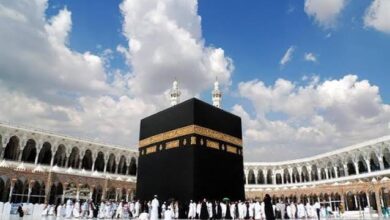 غرفة شركات ووكالات السفر والسياحة